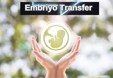 Embriyo Transfer Sonrasında Neler Yapmalıyım?