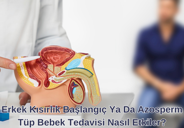 Erkek Kısırlık Başlangıç Ya Da Azosperm Tüp Bebek Tedavisi Nasıl Etkiler?