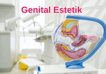 Genital Estetik